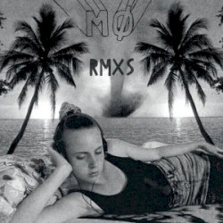 Pilgrim (MS MR remix)