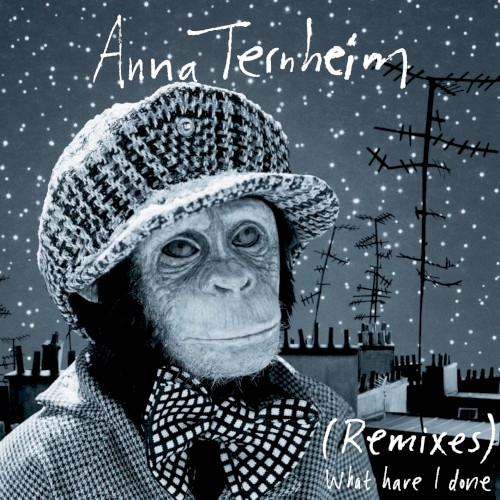 What Have I Done (remixes)