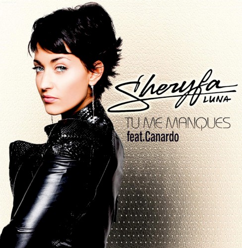Tu me manques (remix)