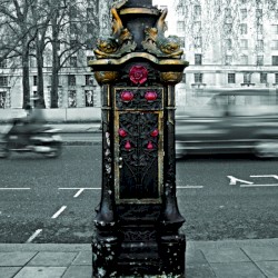 The World I Want to Leave Behind (Deluxe)