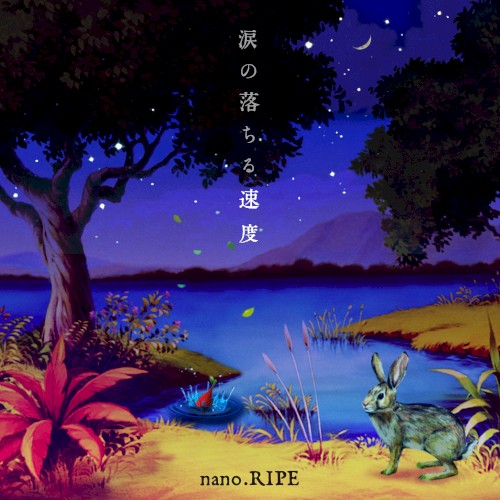 ミズタマリ(Acoustic collection)