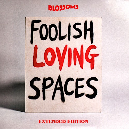 Foolish Loving Spaces (Extended Edition)