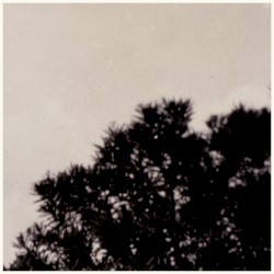 Coppice Halifax (Original 2005 Sessions)