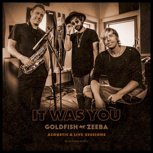 It Was You (acoustic & live Sessions)