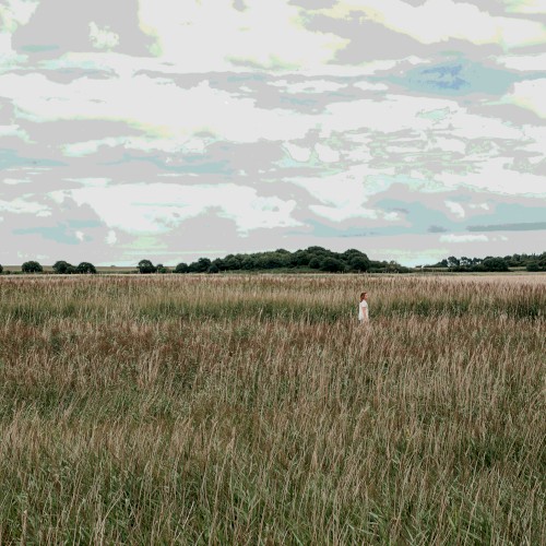 English Country Music (bonus tracks)