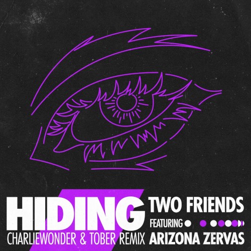 Hiding (CharlieWonder & TOBER extended remix)