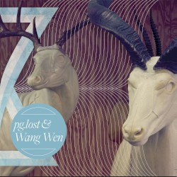 pg.lost / Wang Wen split