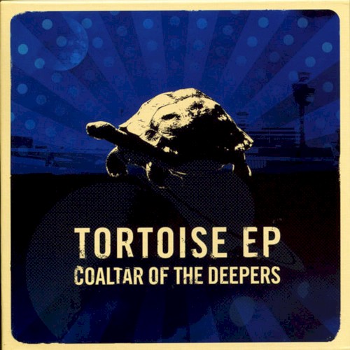 Tortoise