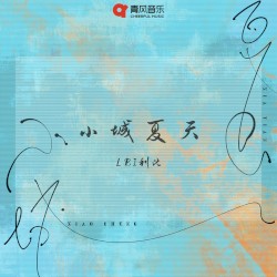 小城夏天 (Dj 沈念版)