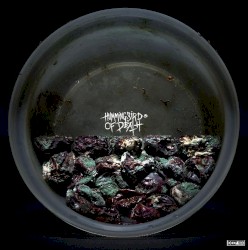 Split LP w/ Cold World