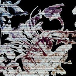Senolytic