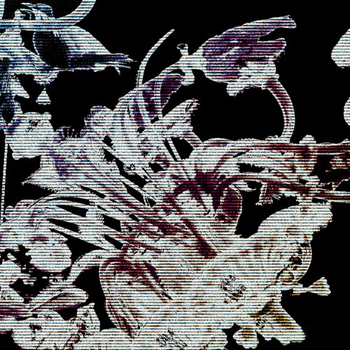 Senolytic