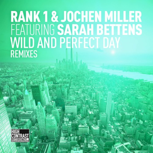 Wild and Perfect Day (The Remixes)