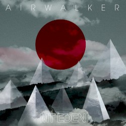 Air Walker (Heroes & Villians remix)