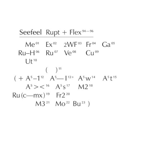 Rupt + Flex (1994–96)