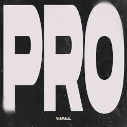 PRO (extended mix)