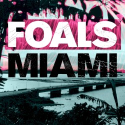 Miami (Glastonbury acoustic)