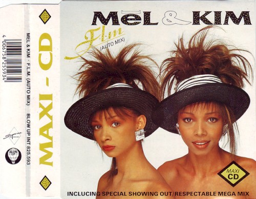 F.L.M. (Auto Mix)