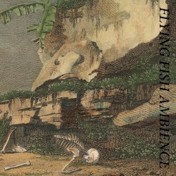 Flying Fish Ambience / Saga Of Capsizing Dolphins