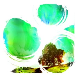 Sunrise Projector