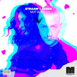 Not Sorry (extended mix)