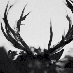 Ihsahn (orchestral)