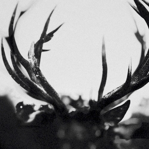 Ihsahn (orchestral)