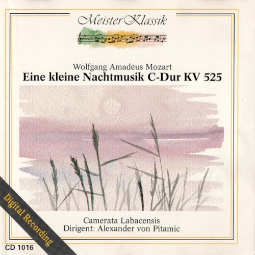 Eine Kleine Nachtmusik C-Dur KV 525