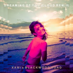 Dreaming of You (Cloud remix)
