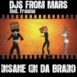 Insane (In Da Brain)