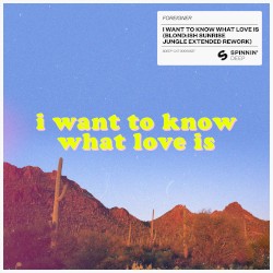 I Want to Know What Love Is (BLOND:ISH Sunrise Jungle extended rework)