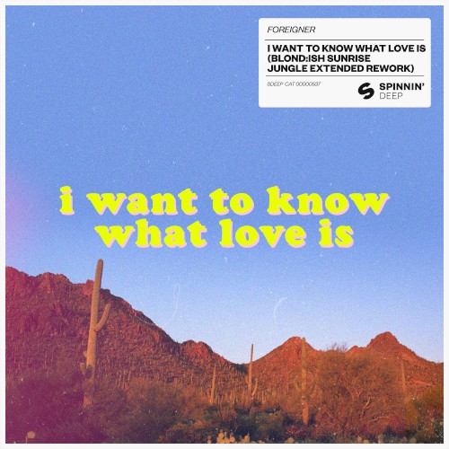 I Want to Know What Love Is (BLOND:ISH Sunrise Jungle extended rework)