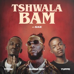 Tshwala Bam [Radio Edit]