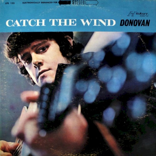 Catch the Wind
