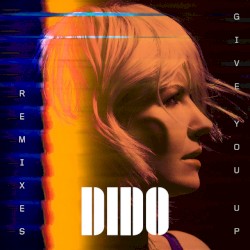 Give You Up (remixes)
