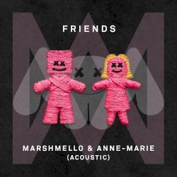 FRIENDS (acoustic)