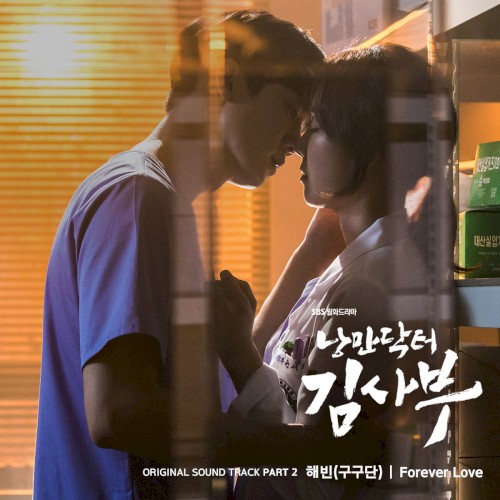 Romantic Doctor Teacher Kim (Original Television Soundtrack)