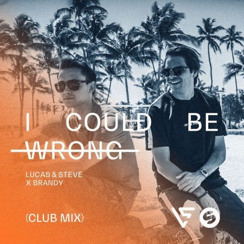 I Could Be Wrong (instrumental mix)