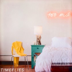 Too Much (Instrumental)