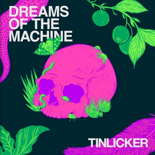 Dreams of the Machine (extended Mixes)