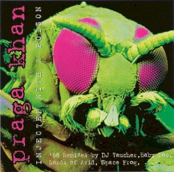 Injected With a Poison (’98 Remixes)
