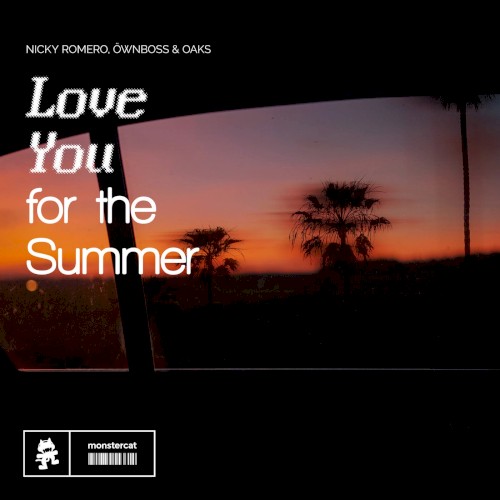 Love You for the Summer (extended mix)