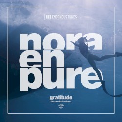 Gratitude (extended mixes)