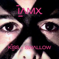 Kiss + Swallow (instrumental)