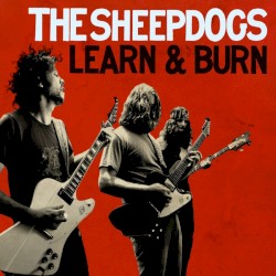 Learn and Burn