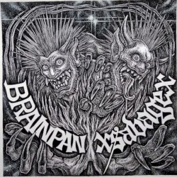 Brainpan split