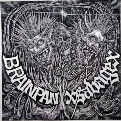 Brainpan split