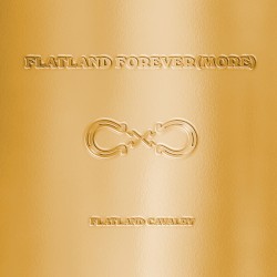 Flatland Forever(more)