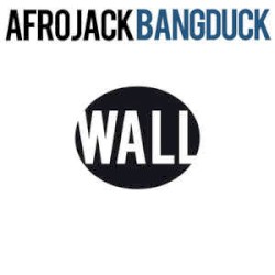 Bangduck (Moguai remix)