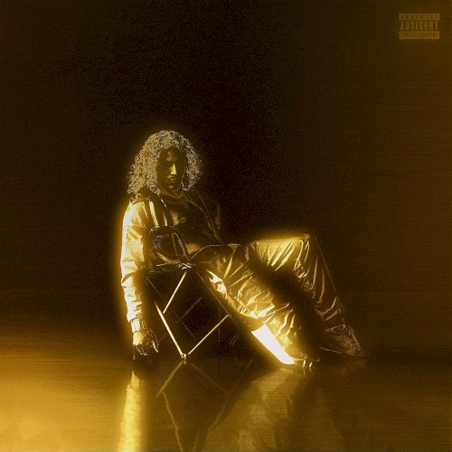 Chaise pliante (Gold Edition)
